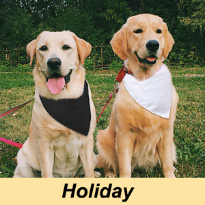 dog bandanas