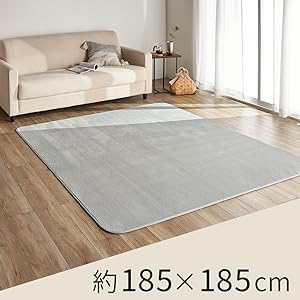 Amazon｜アイリスプラザ カーペット ラグ 洗える ラグカーペット