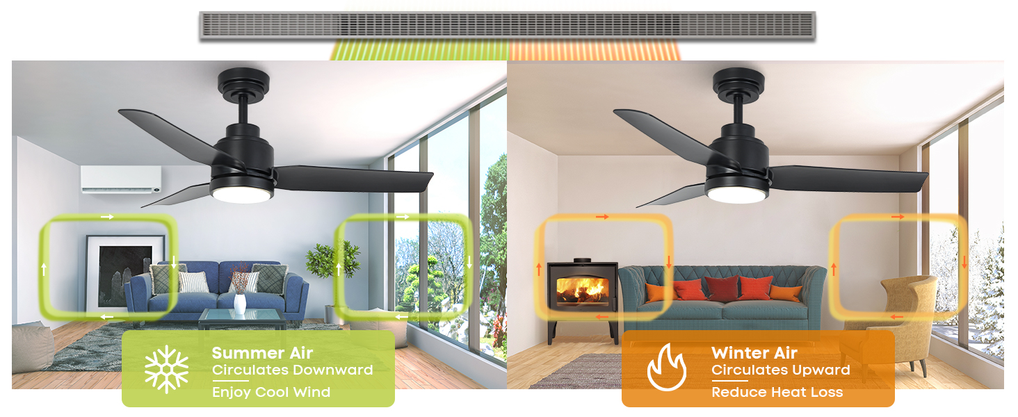 ceiling fans with lights