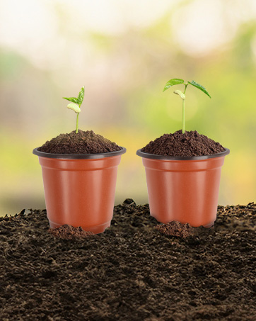 10CM Seedling Pots