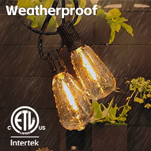 outdoor string lights remote