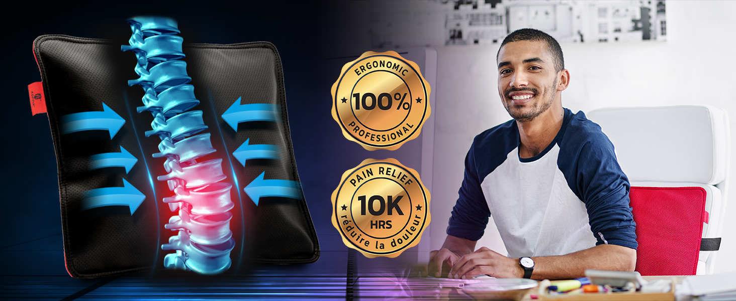 AJUVIA Back Vitalizer Car Lumbar Support for Driving Seat Lumbar