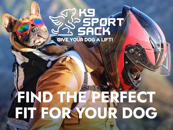 Amazon.com: K9 Sport Sack Trainer - Large, Harbor Blue - Ideal for