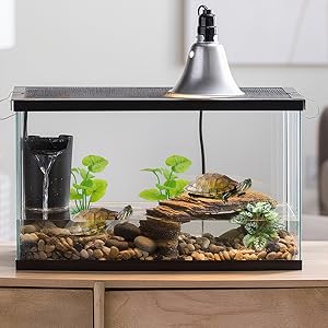 Betta-Safe Plastic Design