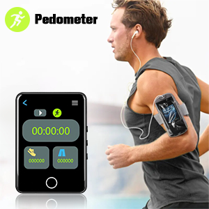 Pedometer