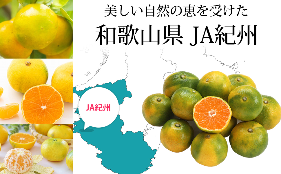 ゆかり はれひめ4.5kg＋南柑20号サイズ混合4.5kgぐるりん 大川