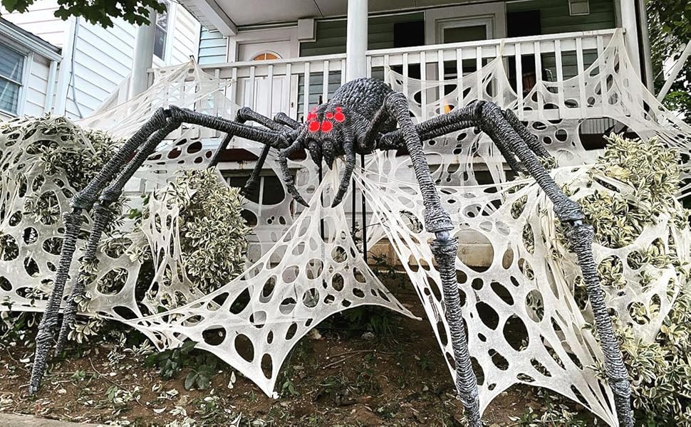 Spider web