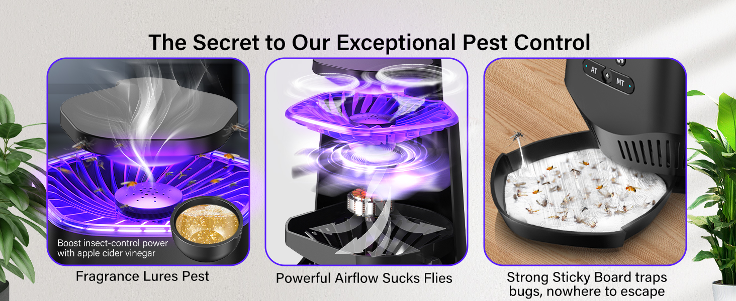 gnat traps for house indoor