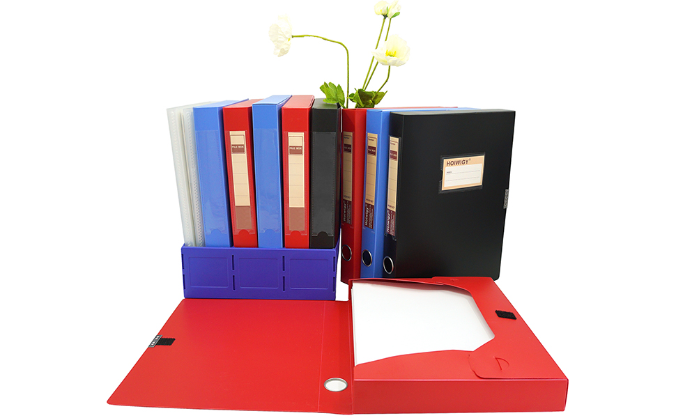 Hoiwigy Foldable A4 Document Box, Pack of 4 Plastic Archive