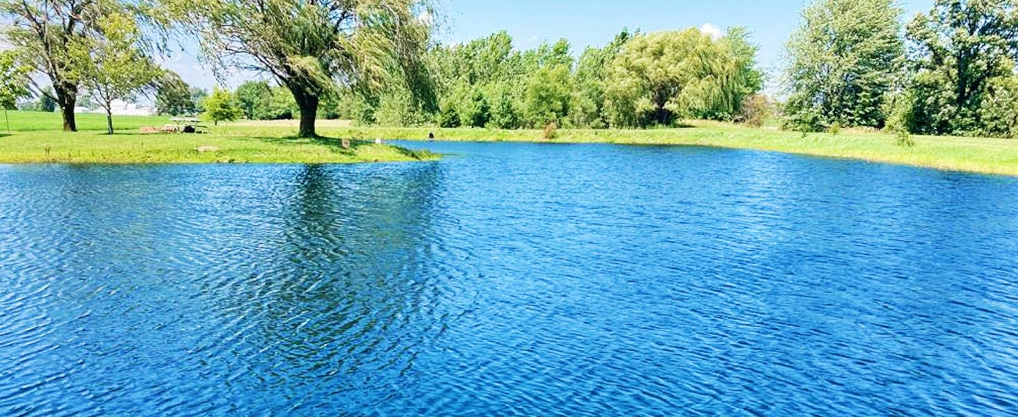 After pond algae treatment