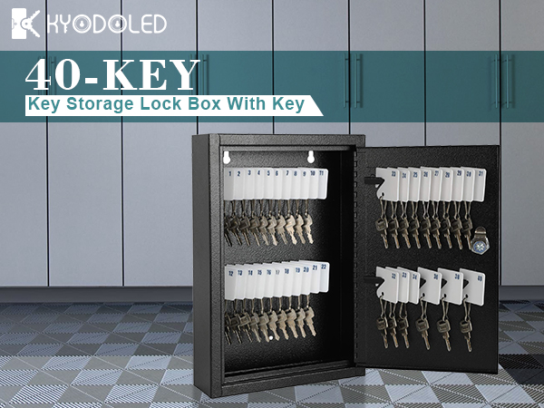 Amazon.com : KYODOLED Key Storage Lock Box Wall Mount