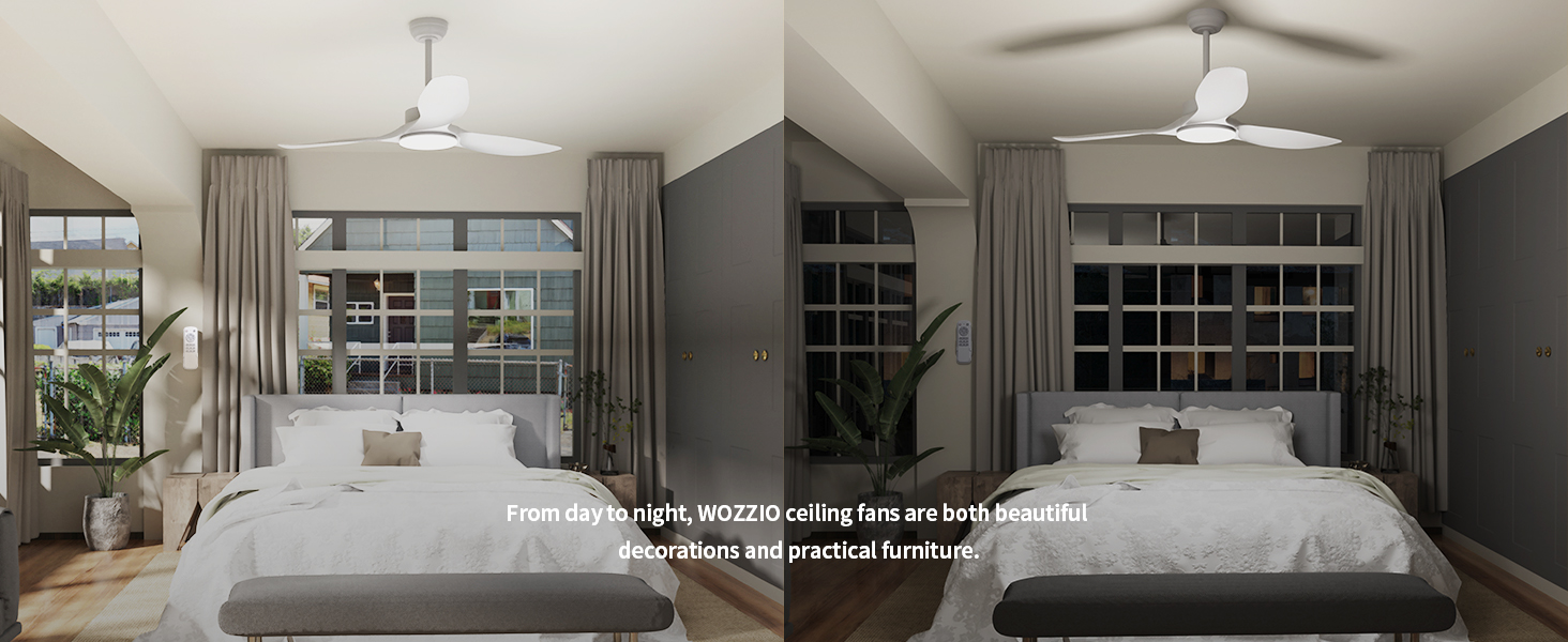 ceiling fan with light