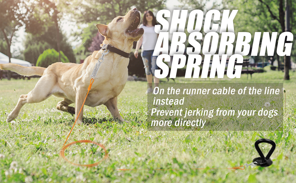 SHUNAI Dog Tie Out Cable and Stake 30 Ft Heavy Dog Yard