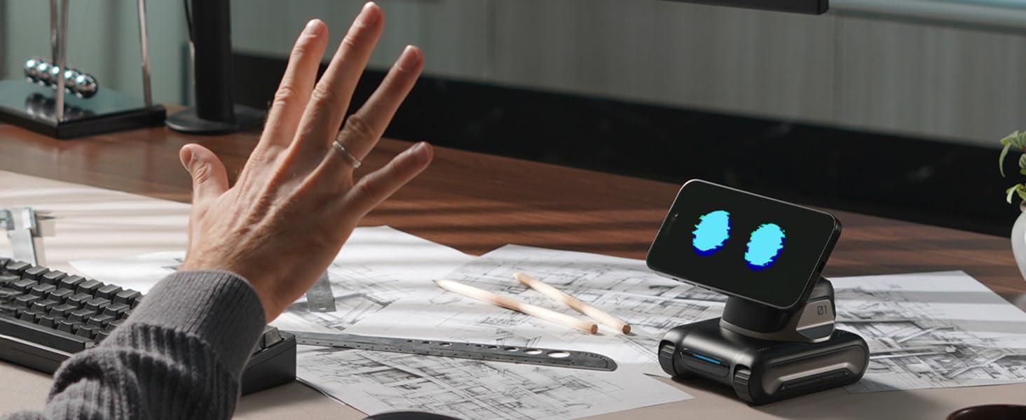 Gesture Recognition, Your Hand Speaks, LOOI Responds_PC