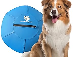 Herding Ball for Dogs