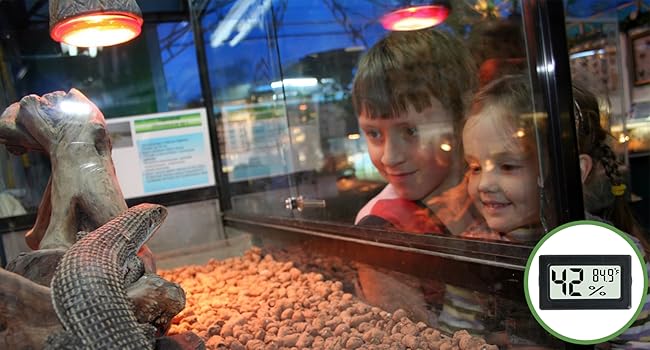 Thermometer Hygrometer