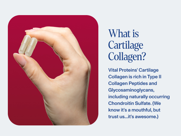 What is cartilage collagen?