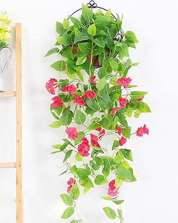 hanging flowers