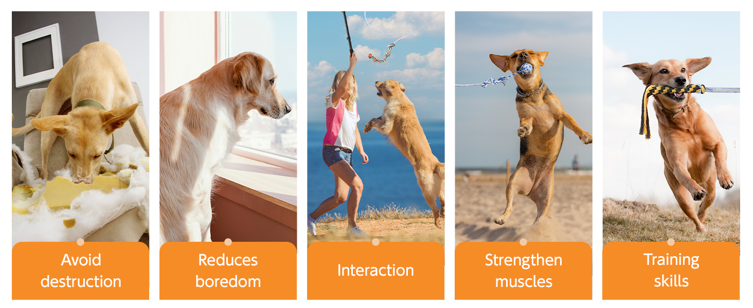 Pet Supplies Flirt Pole for Large Dogs 59 Inch Extendable Dog Flirt