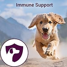 Bowlers Nutrimax Dry Dog Food, Dry Puppy Food, Promotes Brain & Vision Development, Immune Support