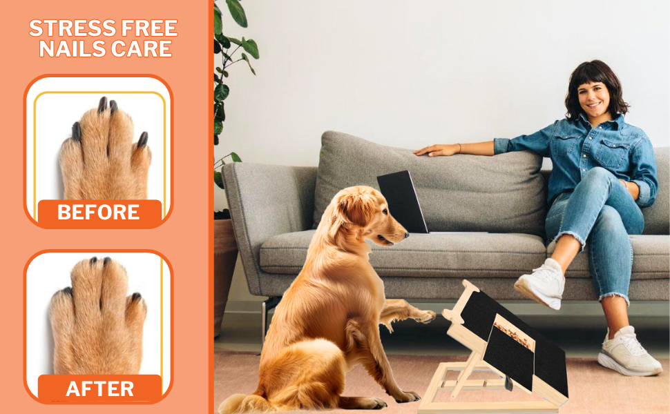 Dog Scratch Pad for Nails, Bone Style Nail Filing Board