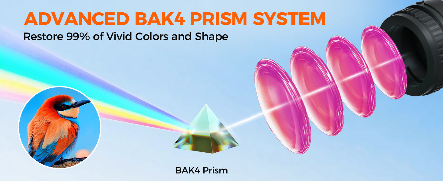 BAK4 Compact Binoculars