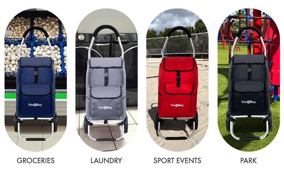 shopping cart for every day