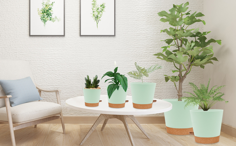 Plant Pots Indoor