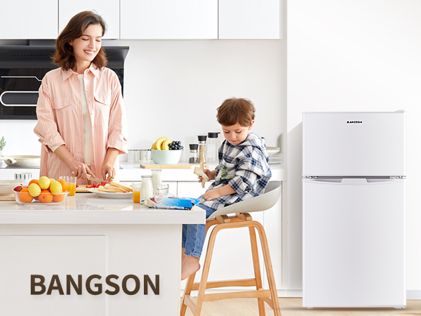 BANGSON Mini Fridge with Freezer