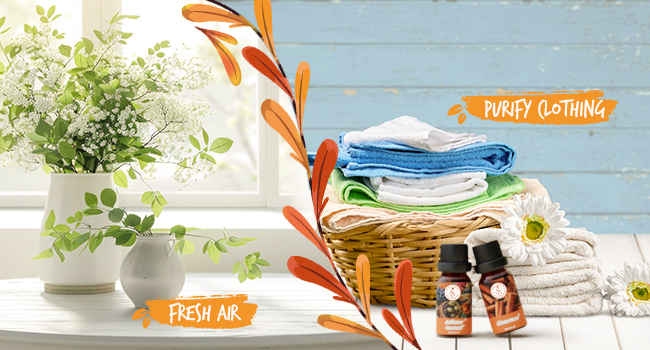 Essential Oils Set