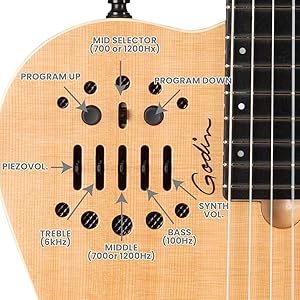 Amazon | GODIN (ゴダン) ナイロンギター エレガットギター ACS