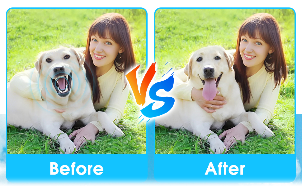 Corrects Behavior in Small & Large Dogs