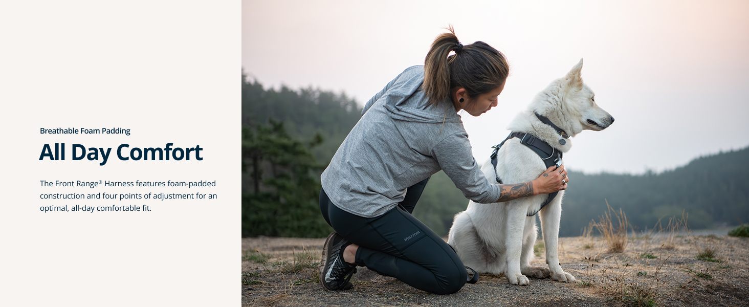 Custom-fit adjustable dog harness with secure buckles and front clip to prevent pulling.