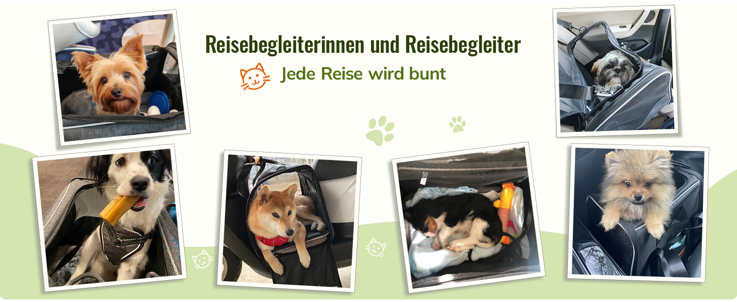 Sammlung von Fotos im Polaroid-Stil, die verschiedene Hunde in Autositzen und Reiseeinstellungen zeigen, mit deutschem Text über