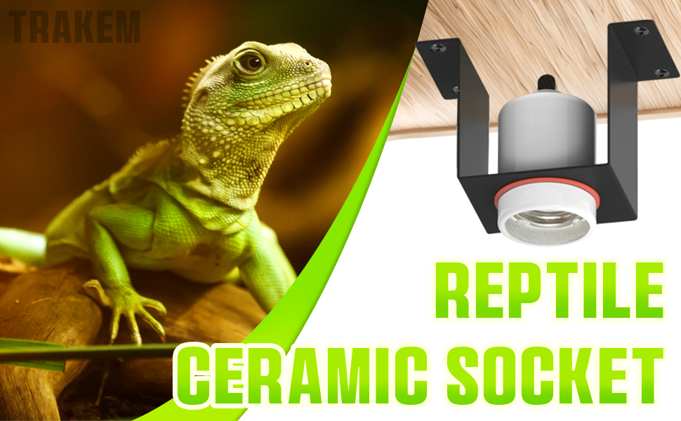 Reptile Ceramic Socket