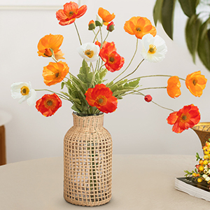 Glass Vase with Rattan Cover