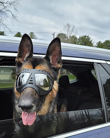 Pet goggles