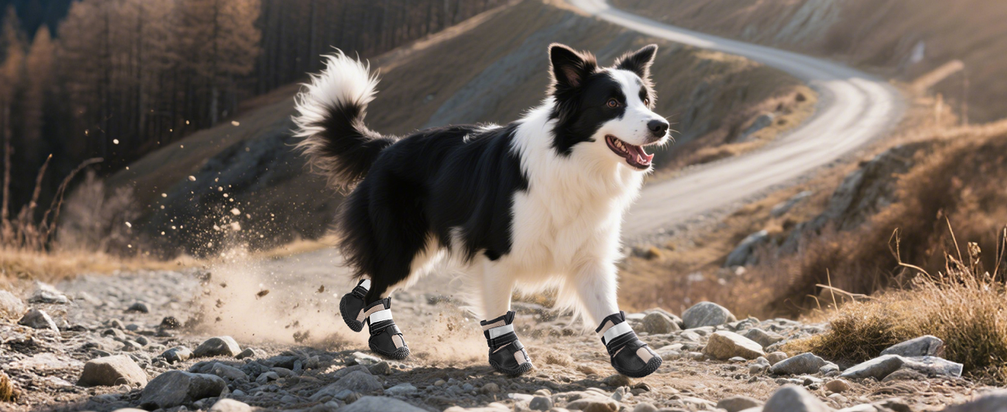 dog shoes for hot pavement small dogs