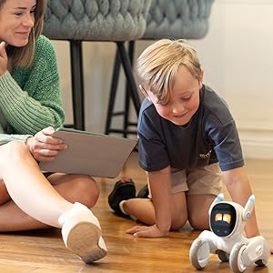 　セット AIBO +LUNA News and Information ”AIBO（アイボ）”にBluetoothTM搭載モデル