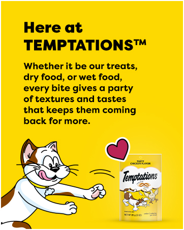 Temptations