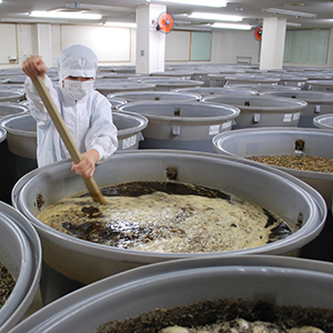 Amazon | 酵素 野草酵素 超濃縮 超濃厚 1年熟成発酵 150g