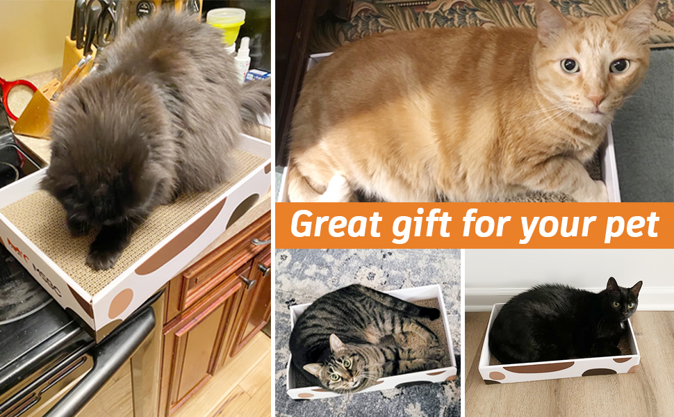 3pcs Cat Scratching Board for Indoor Cats and 1pcs Cat Scratching Boxes