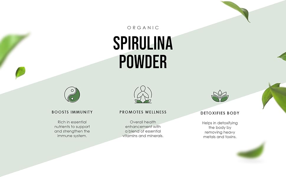 Organic Spirulina Powder 100g