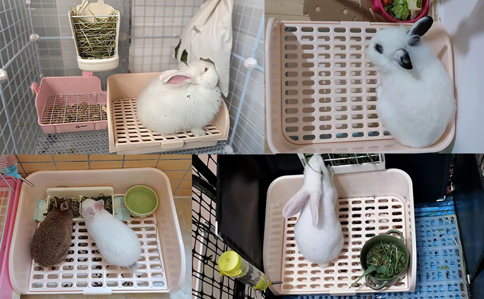 bunny Litter Box