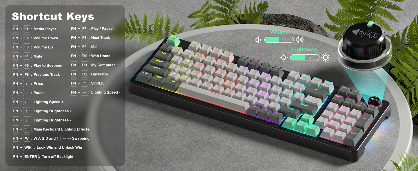 Mechanical Keyboard
