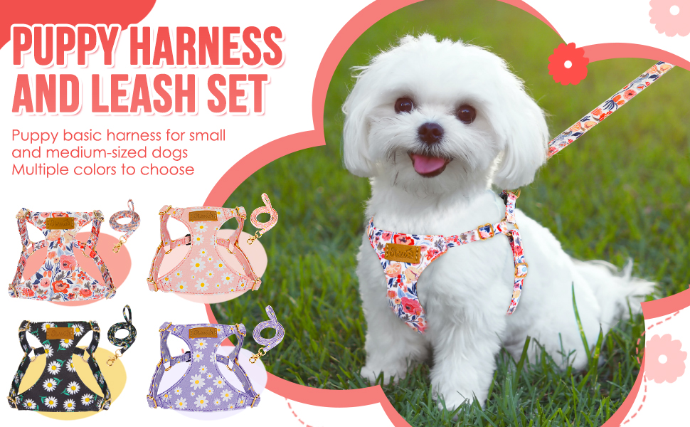 Lukovee Puppy Harness and Leash Set, No Pull Adjustable Lightweight Soft Suede Pet Harness Vest