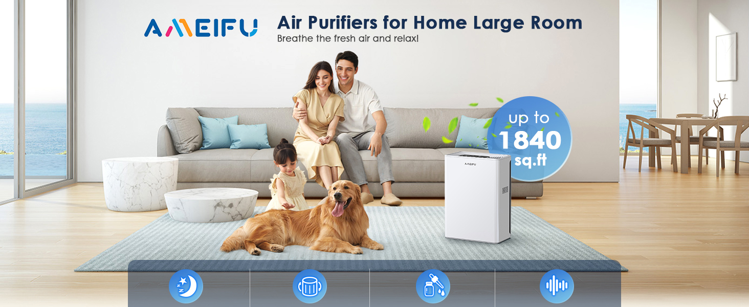 Air Purifiers for Home Large Room