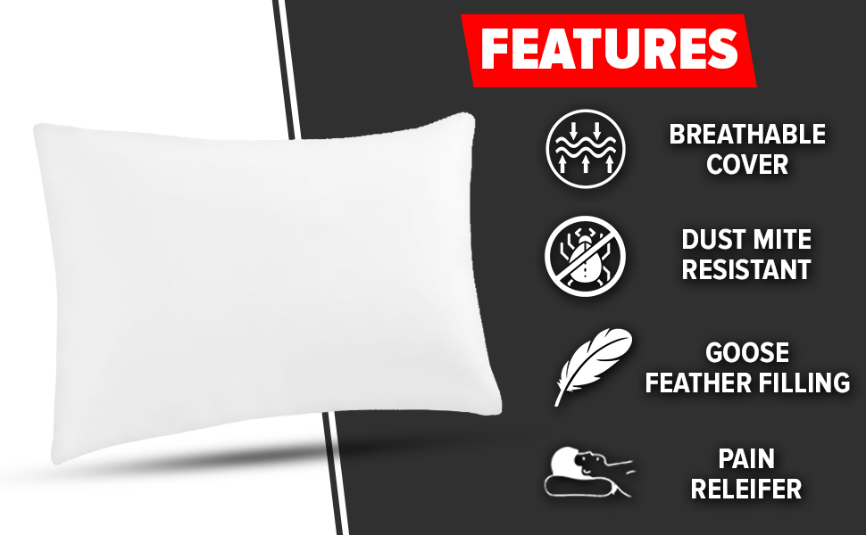 ZENQA Goose Feather Pillows 2 Pack Luxury Neck Head Pillow Feather