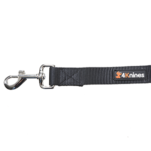 restraining pets the vehicle safe avoid Protect pup passengers unrestrained ten pound dog traveling