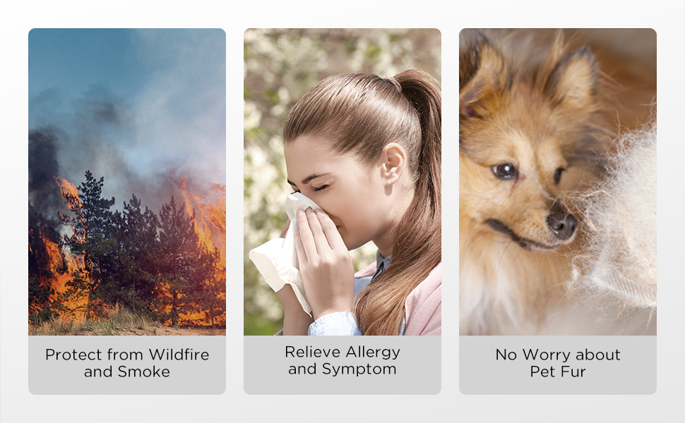 PURE CODE Air Purifier with H13 Ture HEPA Filter, High Efficiency